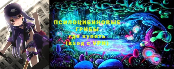 марки lsd Абаза