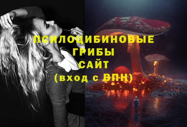 a pvp Болхов