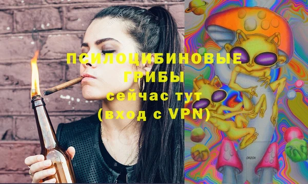 марки lsd Абаза